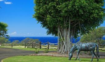 56-113 PUALANI Rd, Hawi, HI 96719