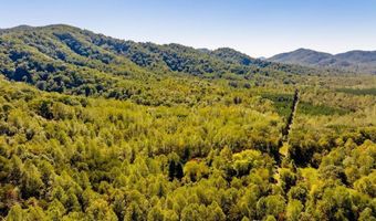 722 GREENFIELD MOUNTAIN FARM Lot 19 20 21 And 22, Afton, VA 22920