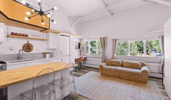412 N Mill St B9, Aspen, CO 81611