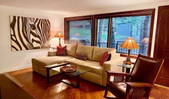 731 S Mill St 2C, Aspen, CO 81611