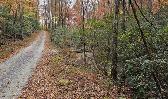 125 Ahart Ridge Rd 163, Ararat, VA 24053