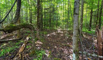 Double Bend Road, Argonne, WI 54511