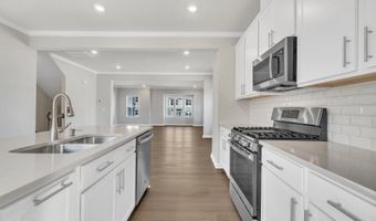 1944 Rabbit Hop Trl, Apex, NC 27502