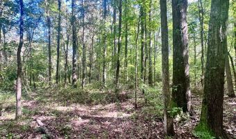 0 Alto Shipman Rd, Ariton, AL 36311