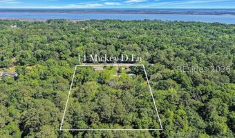 14 Mickey D Ln, Beaufort, SC 29907
