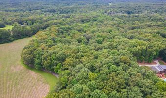 00 Liberty Claybrook Rd, Beech Bluff, TN 38313