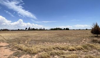 985 W Wicker Road Rd, Chaparral, NM 88081