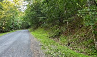 Lot 161 LEE RD, Basye, VA 22810