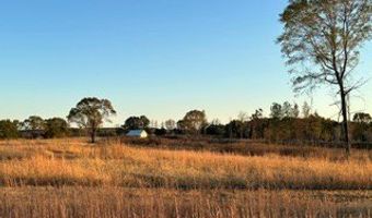 447 CR 215, Abbeville, MS 38601