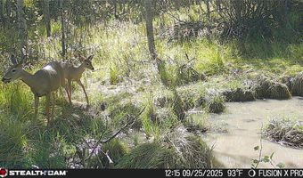 Tract A, Anaconda, MT 59711