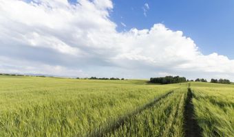 TBD E 1400 N, Ashton, ID 83420