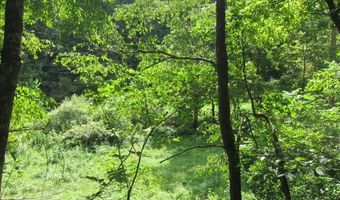 43 Sanctuary Ln, Alderson, WV 24910