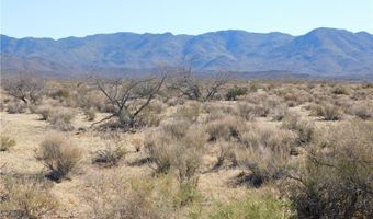 308-19 251 Abeche Dr, Chloride, AZ 86431