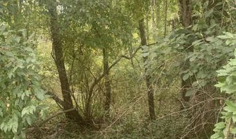 V/L Springhill Drive, Allegan, MI 49010