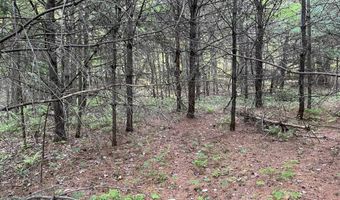 Map17-Lot 31 & 33 River Road, Bath, NH 03740