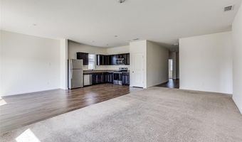 821 Cherry Blossom St, Anna, TX 75409