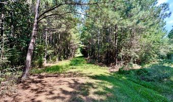 3951 MS-42, Bassfield, MS 39421