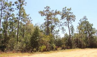 Sycamore Street, Alford, FL 32420