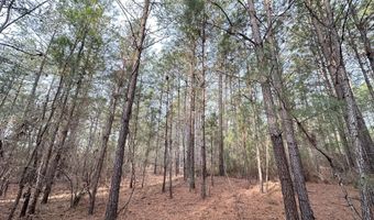 Lot C112 DOCK SIDE Lane, Lincolnton, GA 30817