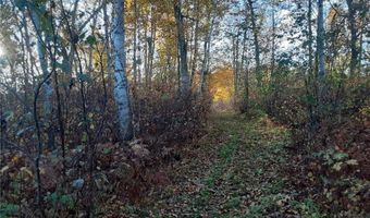 31538 County 23, Akeley, MN 56433