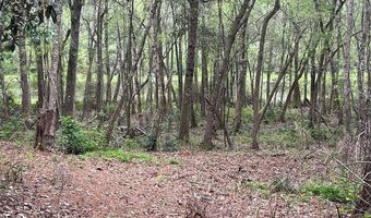 Driftwood Ln, Andalusia, AL 36421