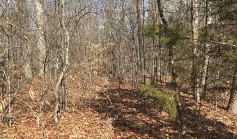 Devon Way Road, Baneberry, TN 37890