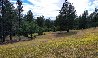 3159 Mona Rd, Aladdin, WY 82710