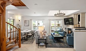 650 S Monarch St Unit 11, Aspen, CO 81611