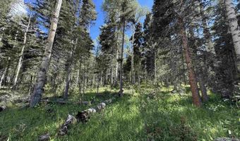 Lot 23 Elk Ridge Road, Angel Fire, NM 97710