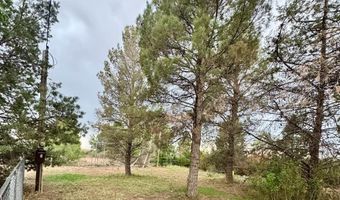 1411 Mcfarland Rd, Carlsbad, NM 88220