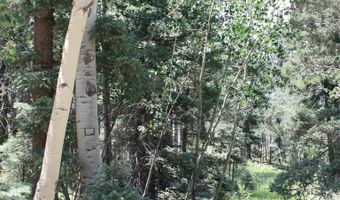 El Camino Real, Angel Fire, NM 87710