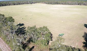 72 Nw Pl, Bell, FL 32619