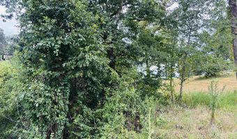 RIVERS EDGE Cir lot 12, Bath Springs, TN 38311