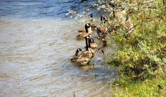 351 W AZTEC Blvd, Aztec, NM 87410