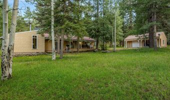 21 County Road 2043, Alpine, AZ 85920