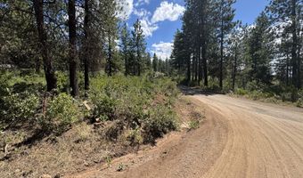 0 Grizzy Ln 9, Bonanza, OR 97623