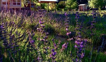 PURPLE ADOBE LAVENDER FARM 25 Private Drive 1622, Abiquiu, NM 87510