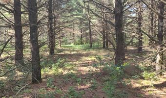 Lot 114 County Road Z, Arkdale, WI 54613