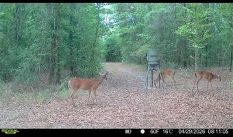 4814 NW 244 Ave, Alachua, FL 32615