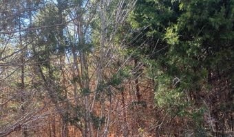 1163 Juneberry Rd, Camden, SC 29020