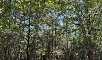 1324 Highway 81 N, Calhoun Falls, SC 29628