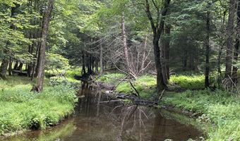 239 Sundale Rd, Accord, NY 12404