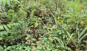 124-125 Prospect St 1230-VL00.0005  1230-VL0004, Barre, VT 05641