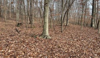 1383 HogBack Rd, Albany, KY 42602