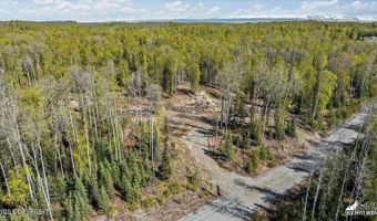 25275 W Susitna Pkwy, Big Lake, AK 99652