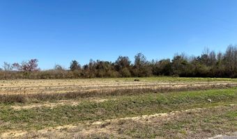 2 5 Acres GarrettRoad, Ashford, AL 36312