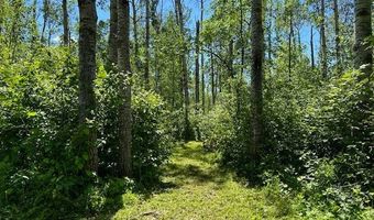 Hartley Shores Road lot 16, Bottineau, ND 58318