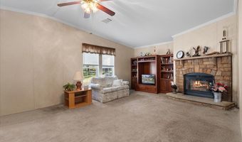 912 SW 22nd Ct, Bell, FL 32619