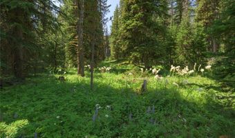 441 Red Lion Rd, Anaconda, MT 59711