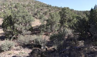 3085 N Diablo Rd, Chino Valley, AZ 86323